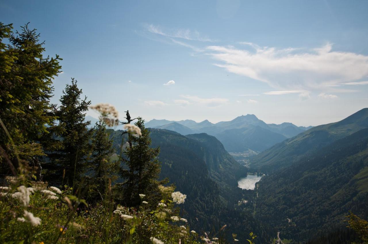 Chalet Sur Les Monts Morzine Montriond Buitenkant foto